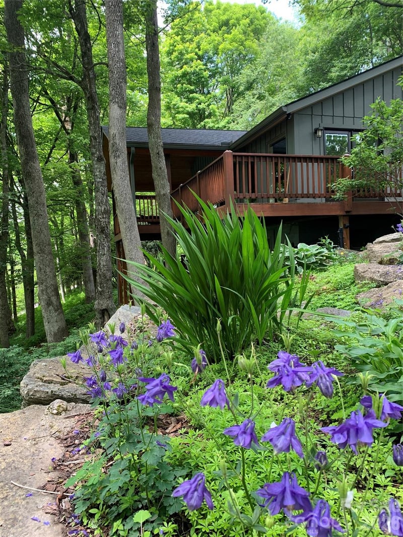 1209 Mckinney Gap Dr, Mars Hill, NC 28754