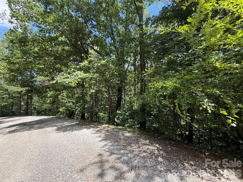 1 Rixhaven Dr, Saluda, NC 28773