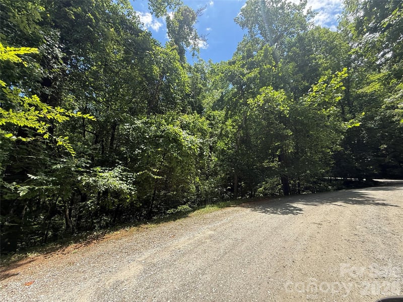 1 Rixhaven Dr, Saluda, NC 28773