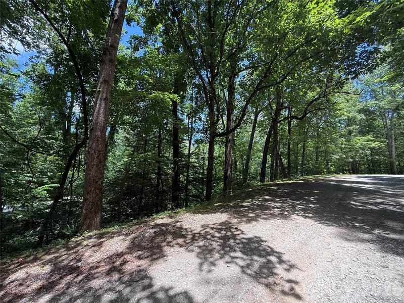 1 Rixhaven Dr, Saluda, NC 28773
