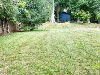 14 Main St, Asheville, NC 28803