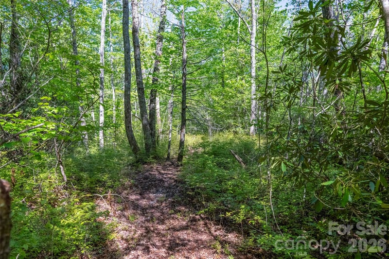 TBD Long Ridge Rd, Lake Toxaway, NC 28747