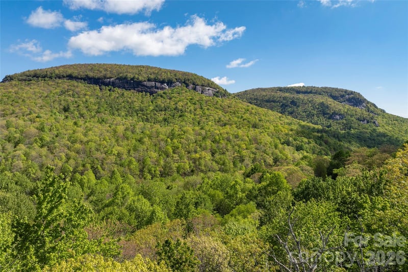 TBD Long Ridge Rd, Lake Toxaway, NC 28747