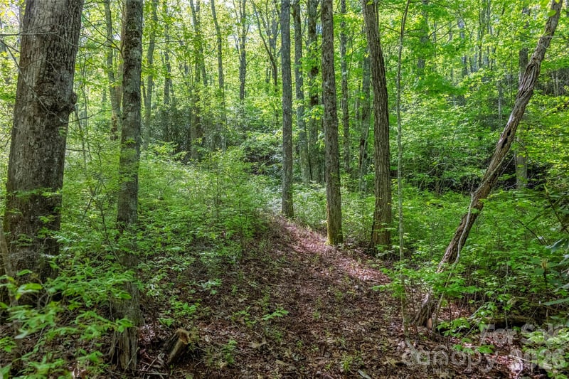TBD Long Ridge Rd, Lake Toxaway, NC 28747
