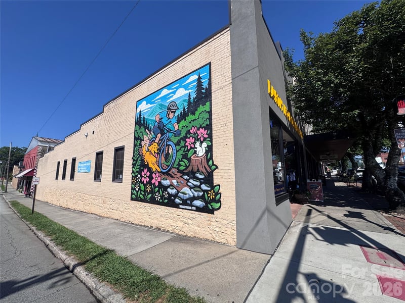 66 Main St, Brevard, NC 28712