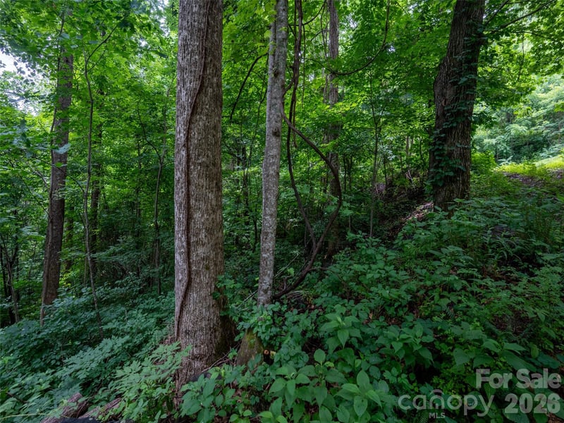 236 Nottingham Dr, Mill Spring, NC 28756