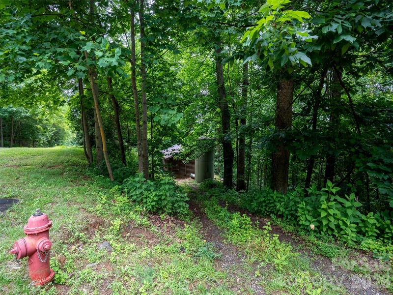 236 Nottingham Dr, Mill Spring, NC 28756