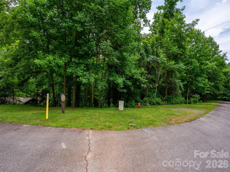 236 Nottingham Dr, Mill Spring, NC 28756