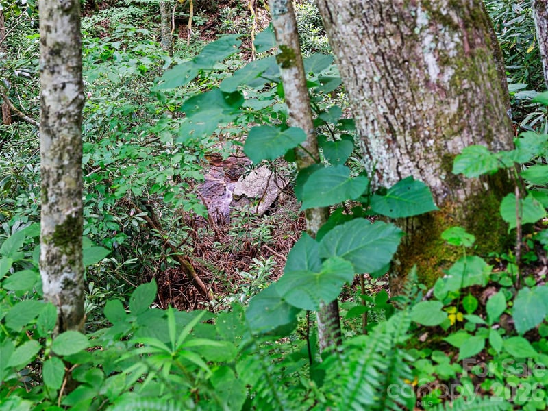 000 Ogles Gap Rd, Burnsville, NC 28714