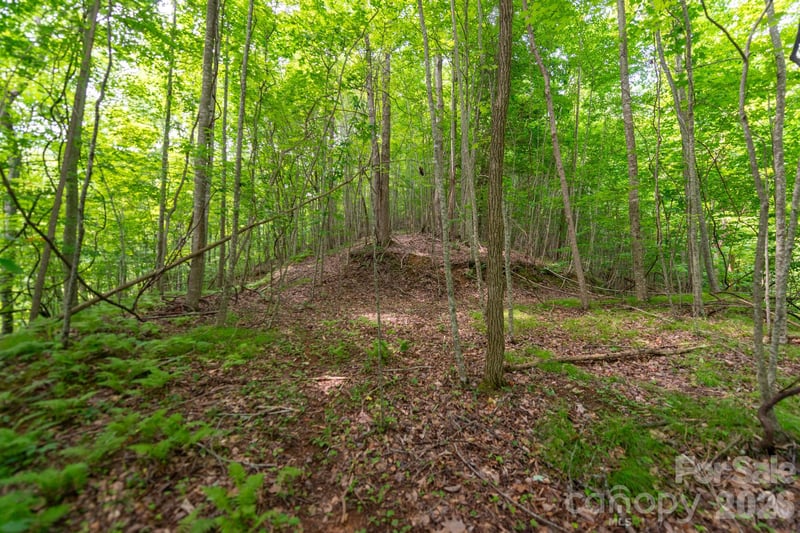 Board Tree Rd #2, Marshall, NC 28753