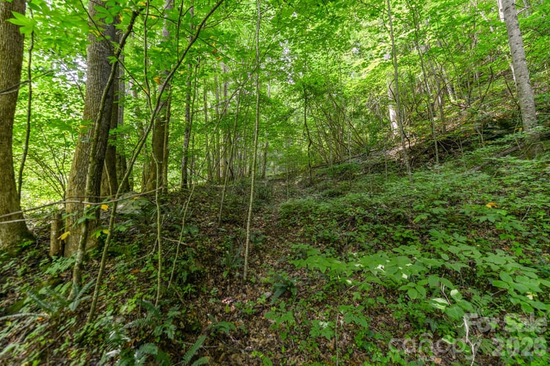 Board Tree Rd #2, Marshall, NC 28753