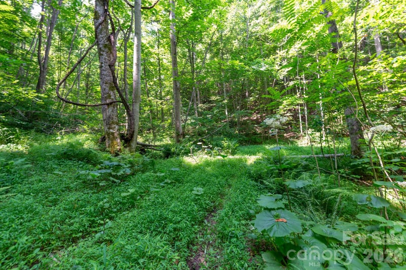Board Tree Rd #3, Marshall, NC 28753