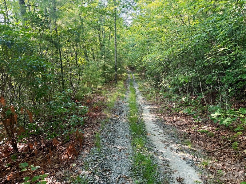 OFF Old Toxaway Rd, Brevard, NC 28712
