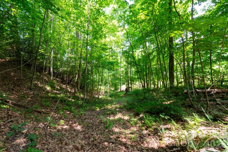 Board Tree Rd #4, Marshall, NC 28753