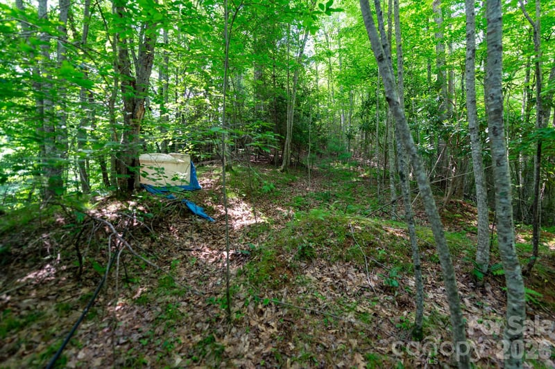 Board Tree Rd #4, Marshall, NC 28753