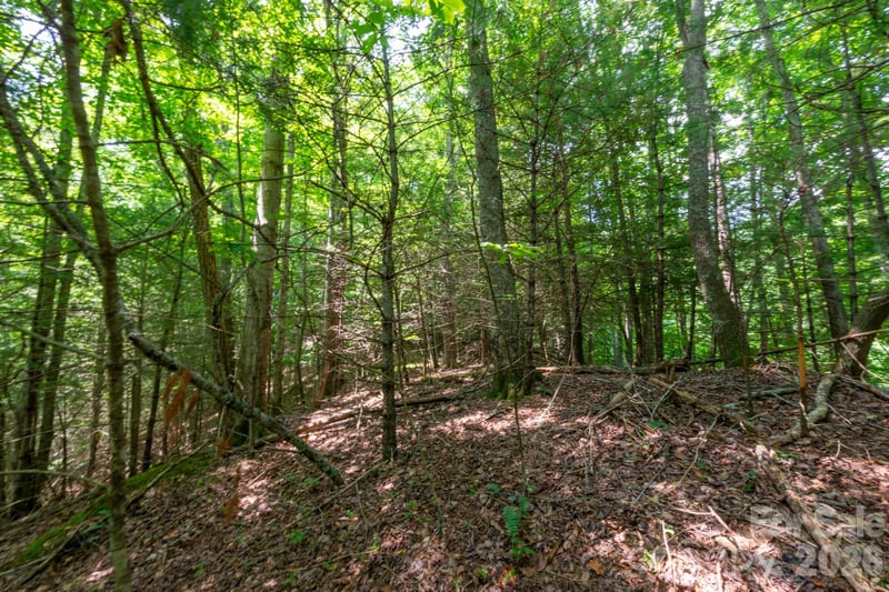 Board Tree Rd #6, Marshall, NC 28753