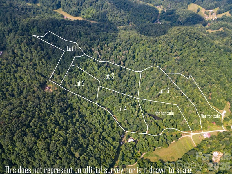 Board Tree Rd #6, Marshall, NC 28753