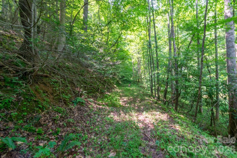 Board Tree Rd #6, Marshall, NC 28753