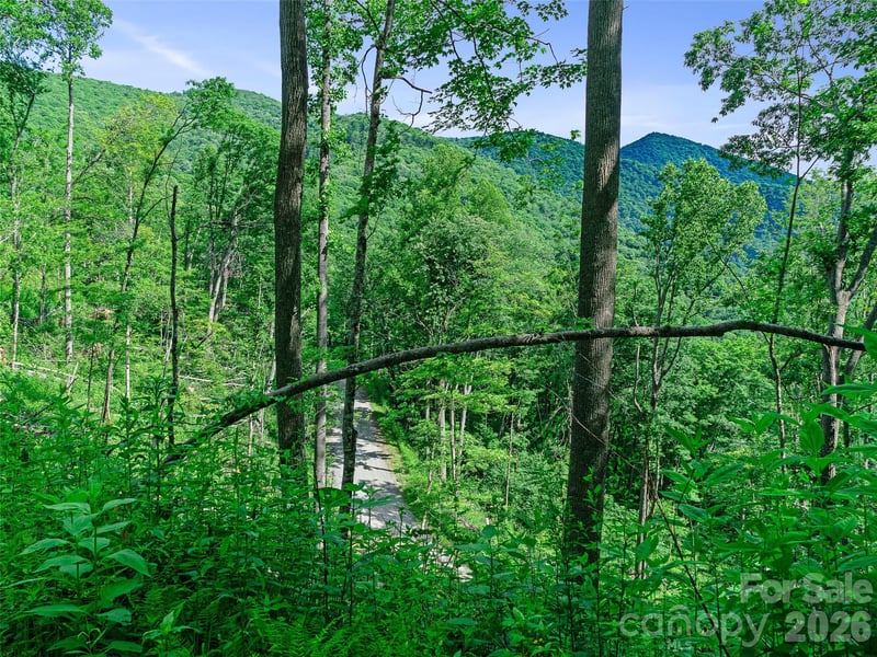 Ogle Meadows Rd #5, Burnsville, NC 28714