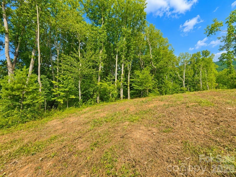 271 Sorrells Cove Rd #C2, Waynesville, NC 28786