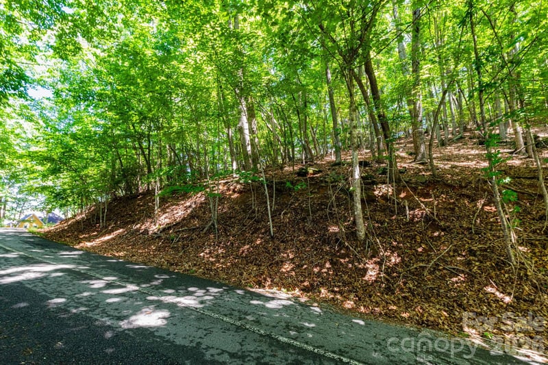 50 Cedar Dr, Mills River, NC 28759