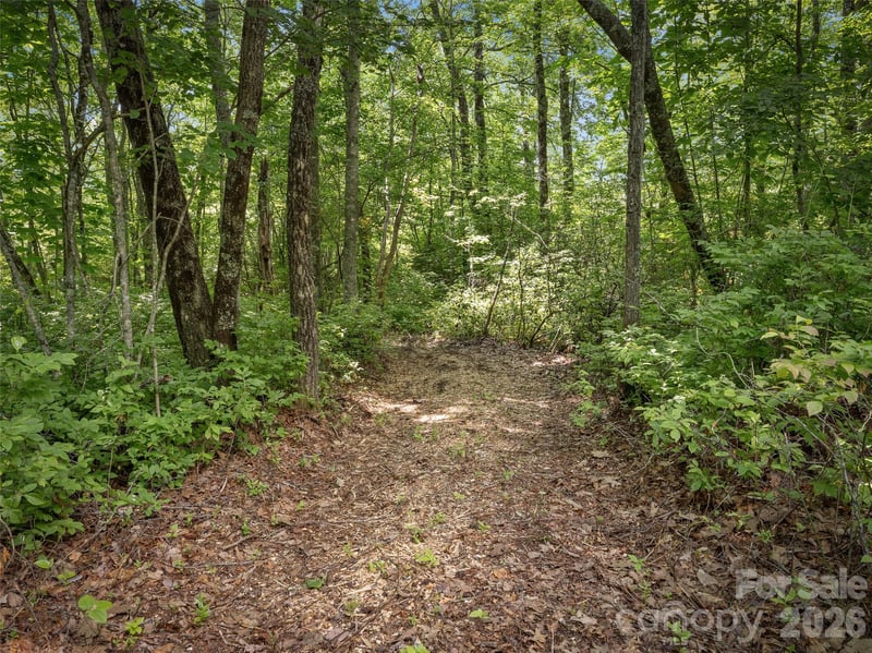 Lot 42 Spencer Ln #MR42, Lake Toxaway, NC 28747