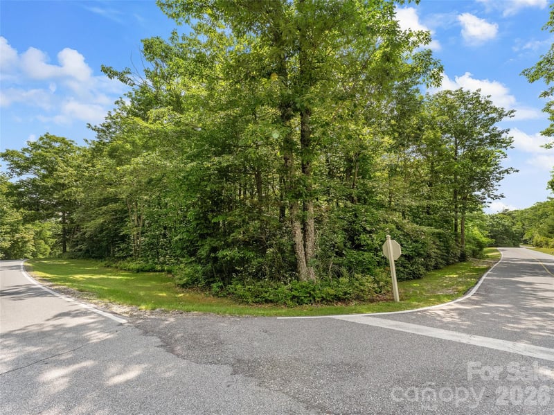 Lot 42 Spencer Ln #MR42, Lake Toxaway, NC 28747