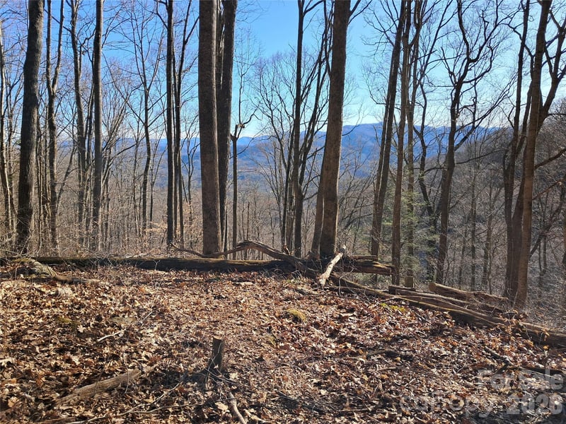 9999 Off Hurricane Ridge Tc, Clyde, NC 28721