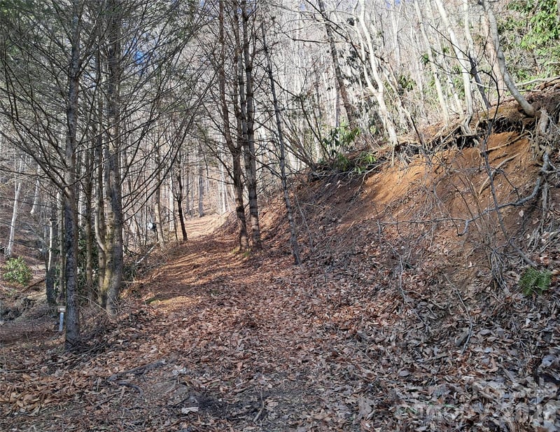 9999 Off Hurricane Ridge Tc, Clyde, NC 28721