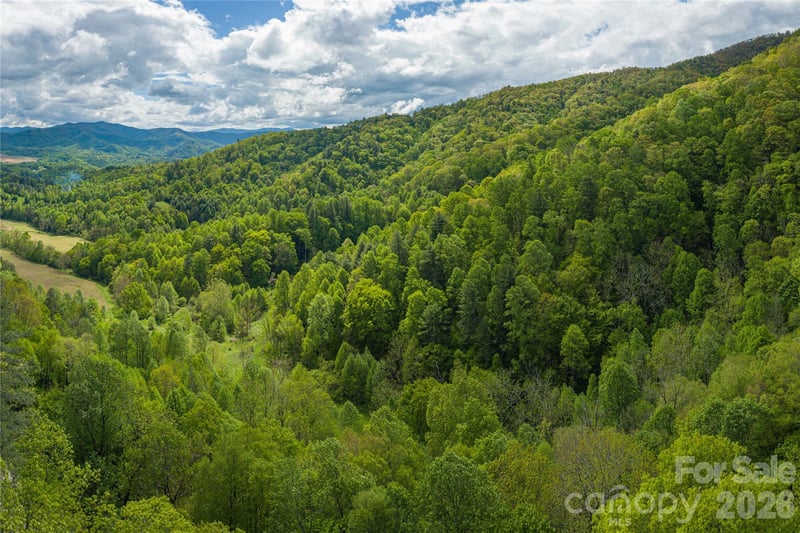 9999 Off Hurricane Ridge Tc, Clyde, NC 28721