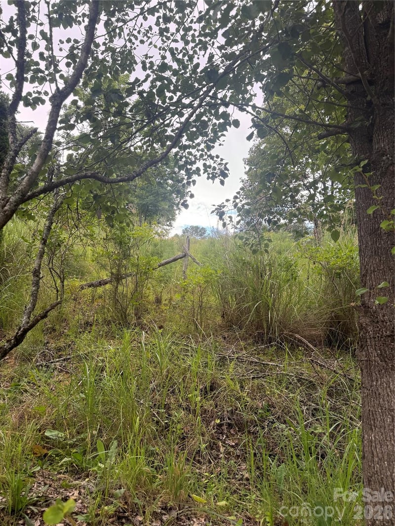 284 Paul Gosnell Rd, Marshall, NC 28753