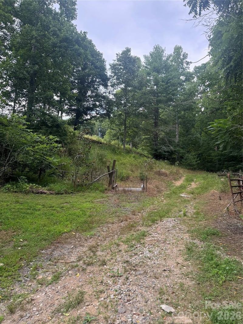 284 Paul Gosnell Rd, Marshall, NC 28753