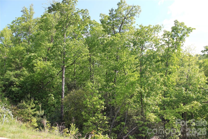 101 Wood Owl Ct, Hendersonville, NC 28791