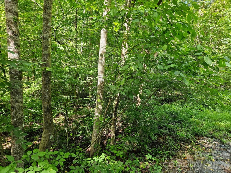 Sandpiper Ave #163, Lake Lure, NC 28746