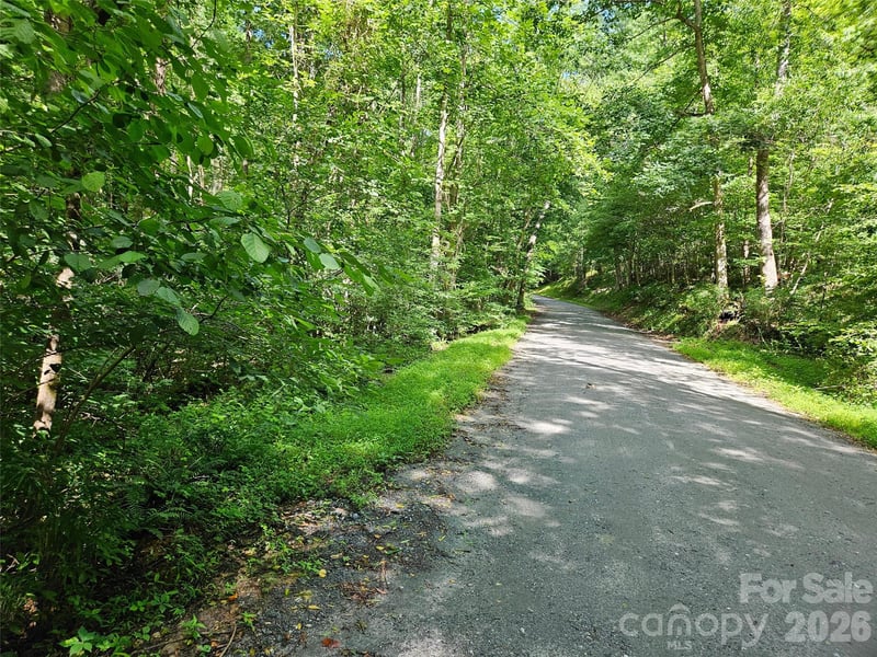 Sandpiper Ave #163, Lake Lure, NC 28746