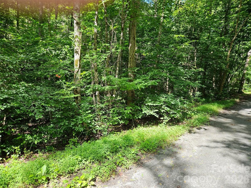 Sandpiper Ave #163, Lake Lure, NC 28746