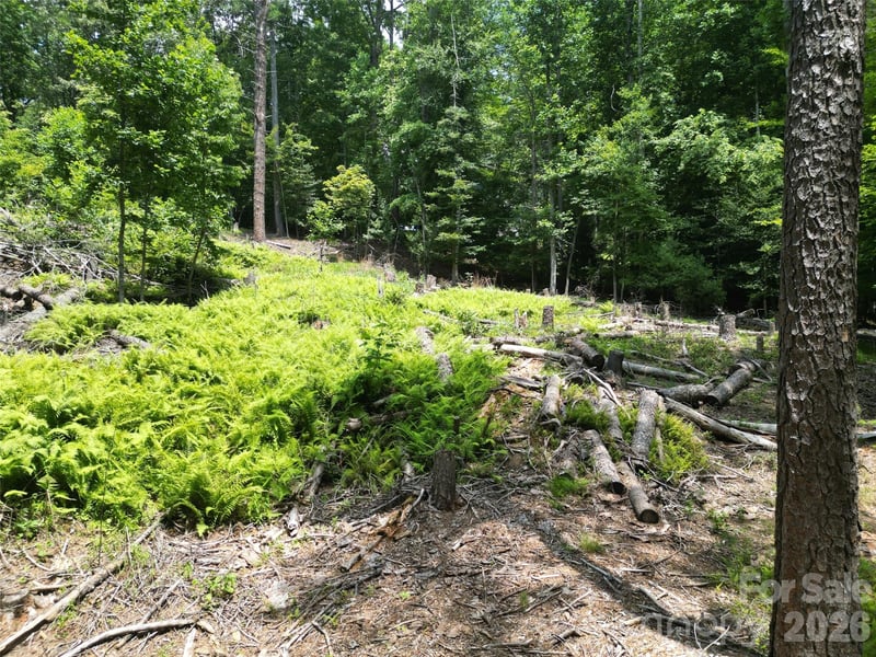 319 Valley Ln, Pisgah Forest, NC 28768