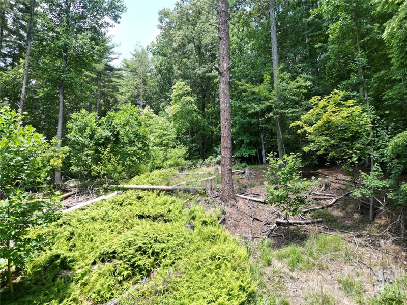 319 Valley Ln, Pisgah Forest, NC 28768