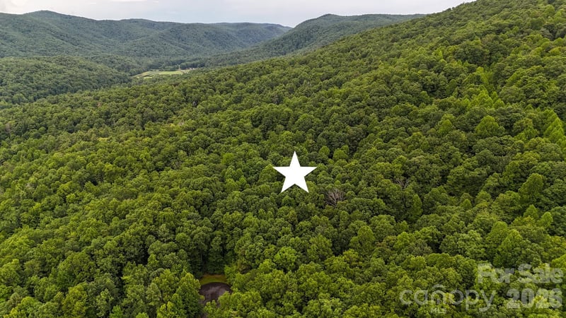 364 Big Bear Trl #24, Zirconia, NC 28790