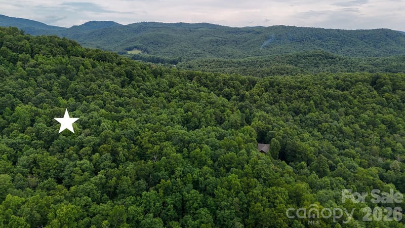 364 Big Bear Trl #24, Zirconia, NC 28790