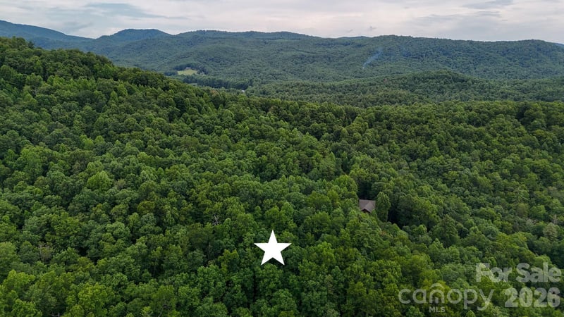 365 Big Bear Trl #25, Zirconia, NC 28790