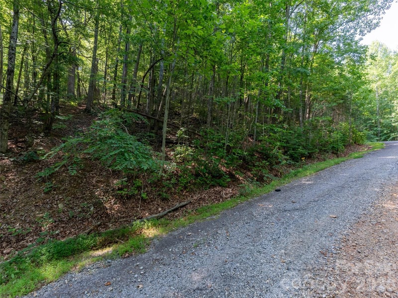 00 Rhododendron Dr #15 & 16, Saluda, NC 28773