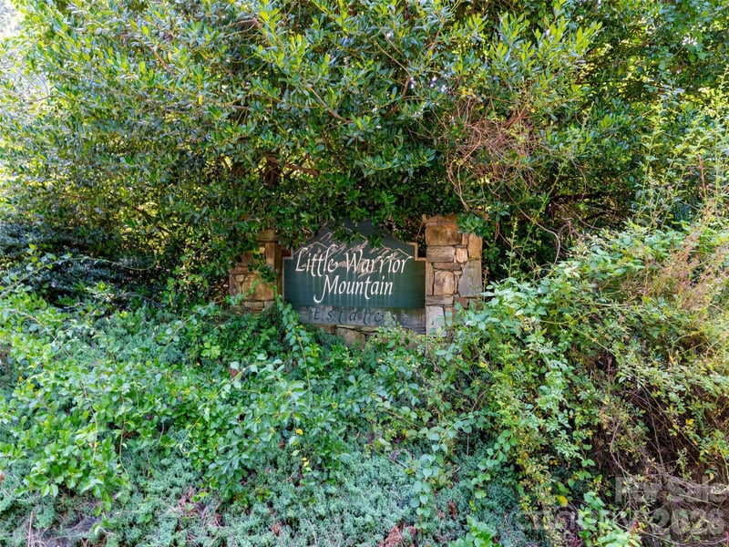 00 Rhododendron Dr #15 & 16, Saluda, NC 28773