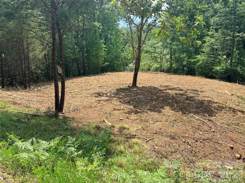 Rock Ledge Dr #247, Lake Lure, NC 28746