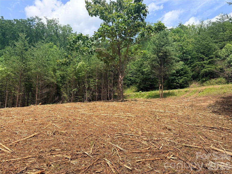 Rock Ledge Dr #247, Lake Lure, NC 28746