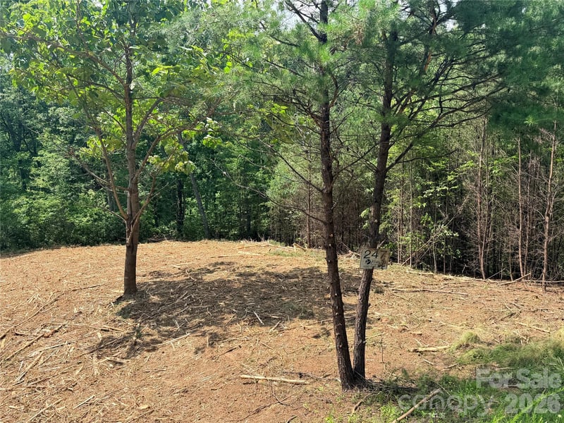 Rock Ledge Dr #247, Lake Lure, NC 28746