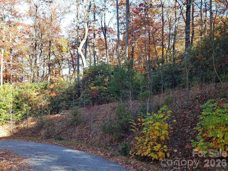 TBD Top Oaks Ln Lot 58, Pisgah Forest, NC 28768