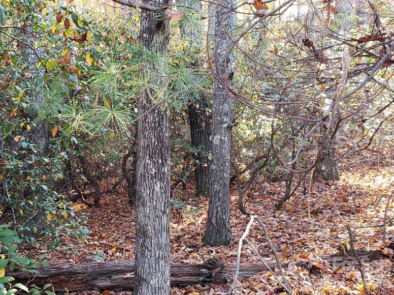 TBD Top Oaks Ln Lot 58, Pisgah Forest, NC 28768
