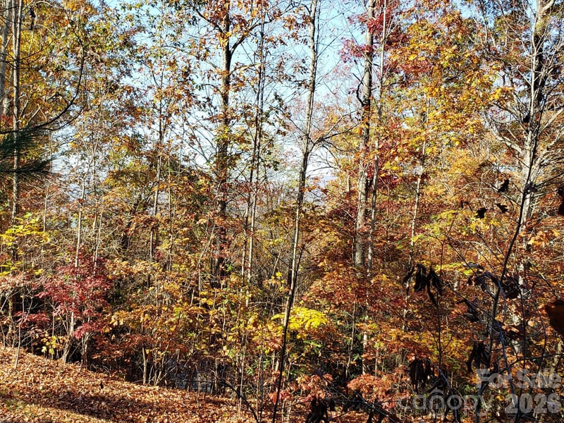 TBD Top Oaks Ln Lot 58, Pisgah Forest, NC 28768