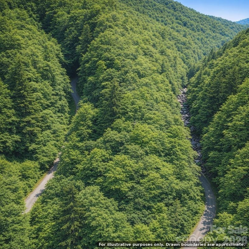 0000 Rainbow Trout Dr, Burnsville, NC 28714